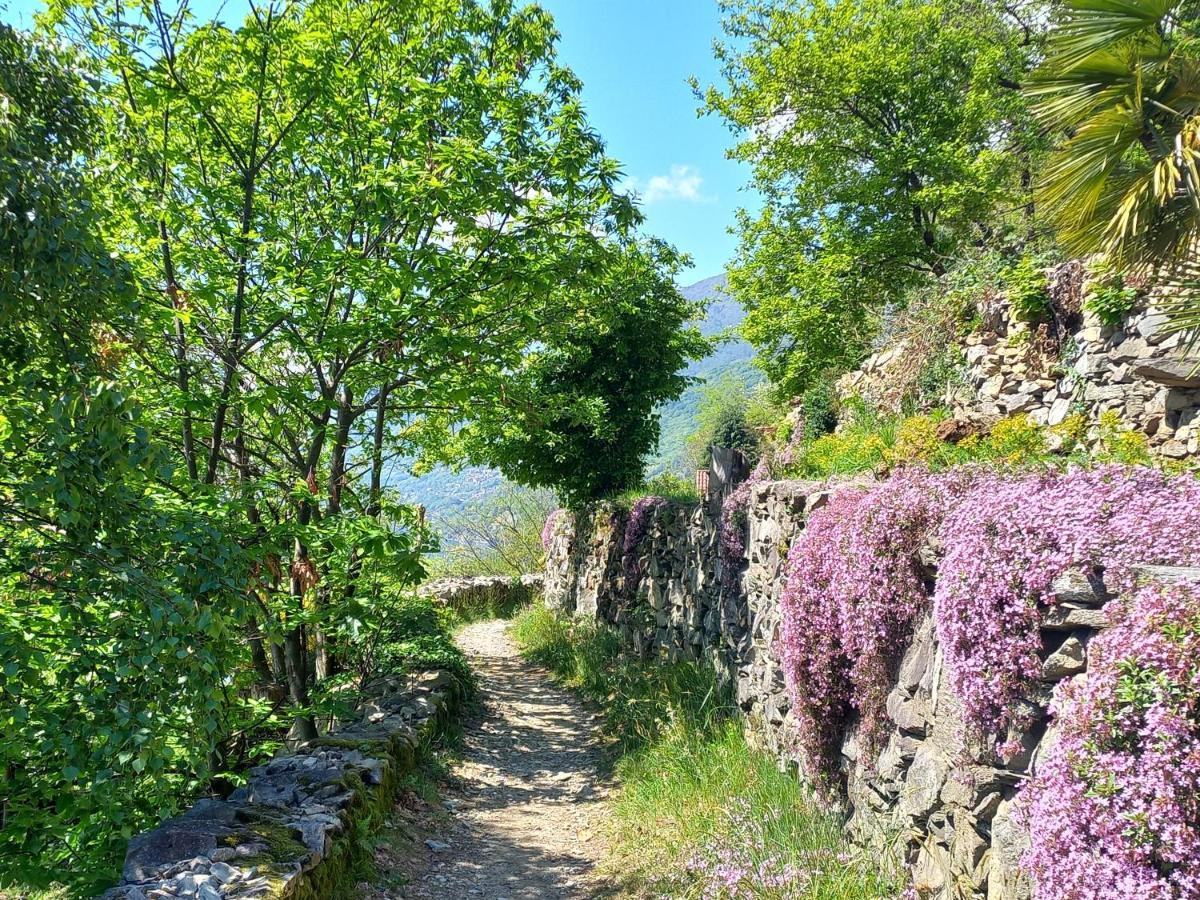 Antica Casa Al Lago Oggebio Zewnętrze zdjęcie
